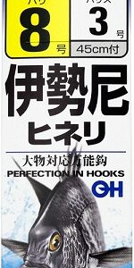 AMI OWNER ISEAMA LEGATI