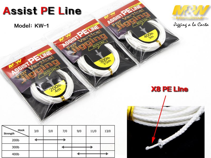 JLC PE ASSIST LINE 200LB