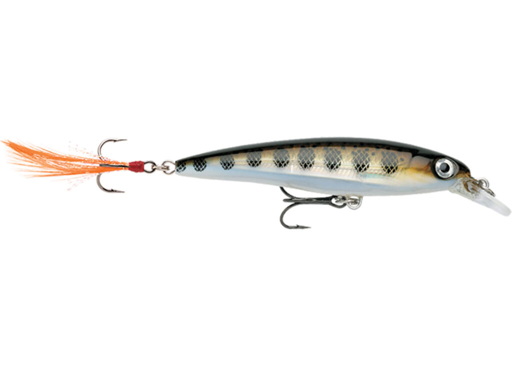 RAPALA X-RAP 10cm 13g