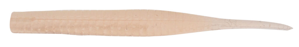 JACKSON STAPLE FRY 2.4 inch