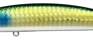 IMA SASUKE 120 REKKU 20g