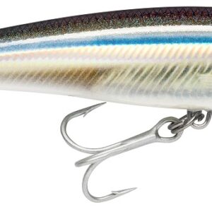 RAPALA SXR 12cm 22g