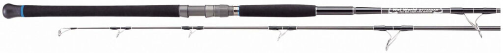 HOTS WEI WORLD BT 73XXXH max.200g PE6-10 made in Japan CAPE COD tuna special