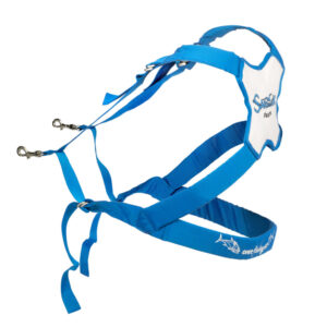 SARDAMATIC RAMENSKI PAS