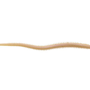 BERKLEY GULP SANDWORM SCENTED POWER ISOME 10cm THICK #NATURAL