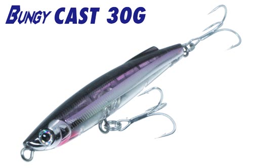 BASSDAY BUNGY CAST 100mm 30g