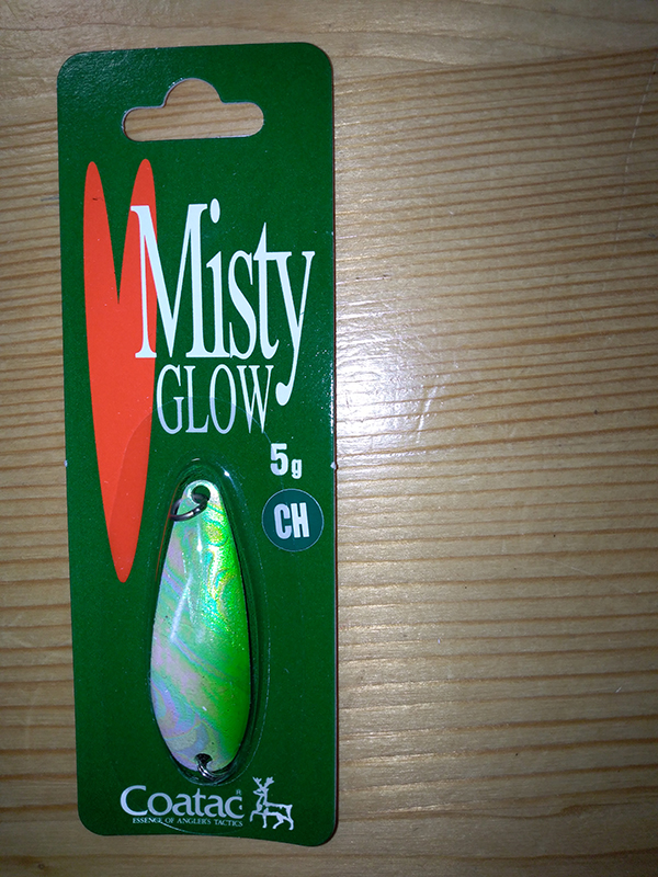 COATAC MISTY GLOW 5g