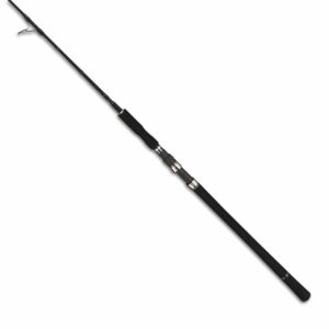 TAILWALK JIGFORCE vielseitige Jigging SSD