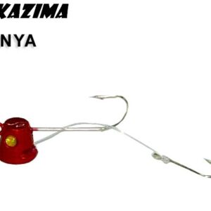 NAKAZIMA TENYA