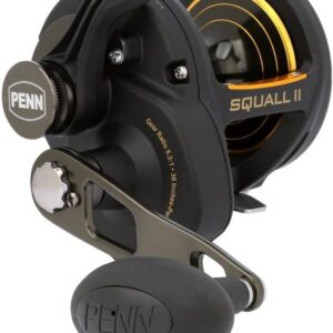 PENN SQUAL II 30LD