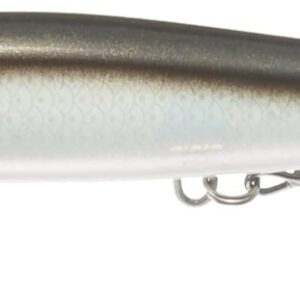 RAPALA MAXRAP LONG RANGE MINNOW 12cm 20g #FANC