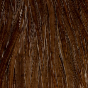 54 DEAN STREET EWING POLSADLO #RJAVA