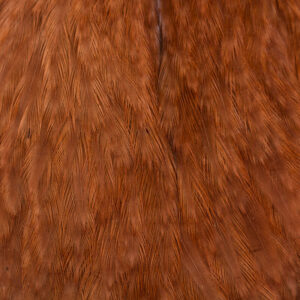 54 DEAN STREET EWING HEN CAPE #RJAVA