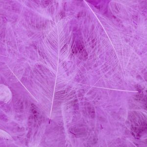 54DS CDC SUPER SELECT 1g #BABY PINK LIGHT