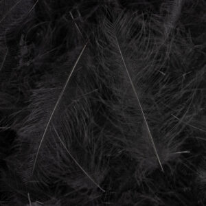 54 DEAN STREET CDC SUPER SELECT 1g Črno