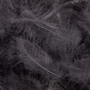 54 DEAN STREET CDC SUPER SELECT 1g Blue Dun