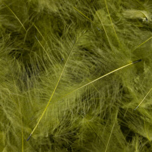 54 DEAN STREET CDC SUPER SELECT 1g Temno Olivno