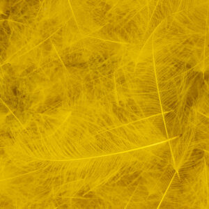 54 DEAN STREET CDC SUPER SELECT 1g Gold Olive