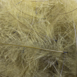 54 DEAN STREET CDC SUPER SELECT 1g Khaki