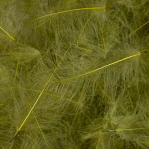 54 DEAN STREET CDC SUPER SELECT 1g Srednje olivna