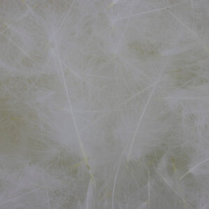 54 DEAN STREET CDC SUPER SELECT 1g Bela