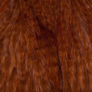 EWING HEN CAPE HACKLE #COACHMAN BROWN