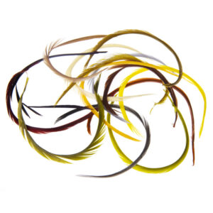 54 DEAN STREET IZBOR GUSJIH PERES (GOOSE BIOTS)