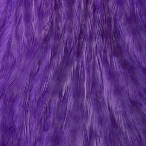EWING HEN CAPE HACKLE #PURPLE