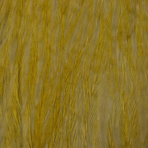 54 DEANS STREET EWING HACKLE HEN CAPE #SREDNJA OLIVNA