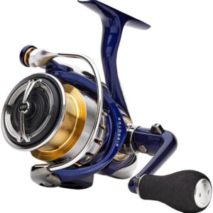 DAIWA TDR QD