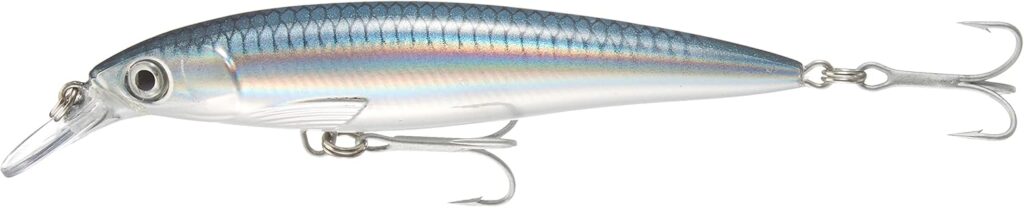 RAPALA X-RAP SALTWATER SXR 10CM #BAITFISH