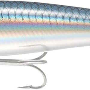 RAPALA X-RAP SALTWATER SXR 10CM #BAITFISH