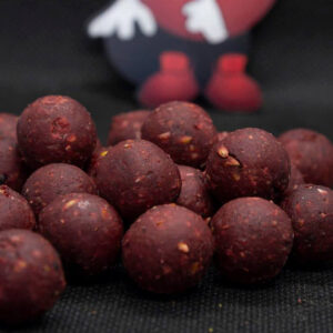 DUDI BAIT FOREST SQUID TOPNA 1kg