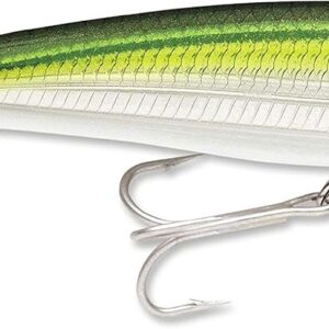 RAPALA X-RAP SALTWATER SXR 10CM #PILCHARD