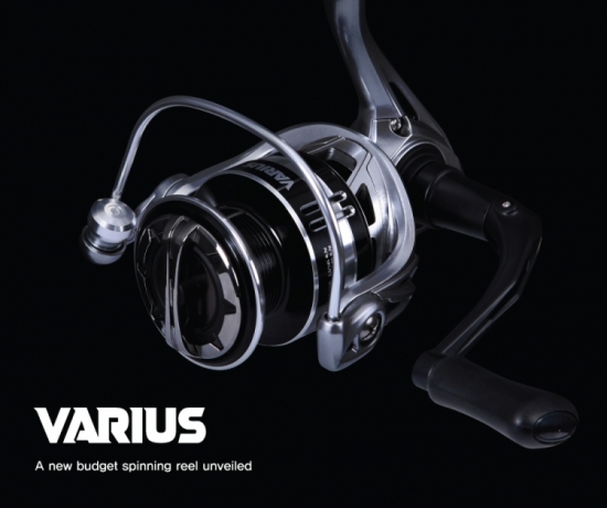BLACK HOLE VARIUS 2000HGM