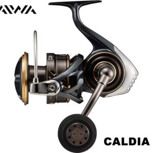 DAIWA CALDIA SW 10000-H