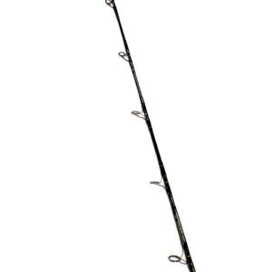 FISHERMAN MONSTER CC 77 GTS 50-220g PE 6-10