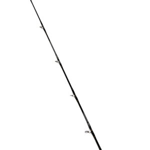 FISHERMAN RECORD 9 274cm max.100g