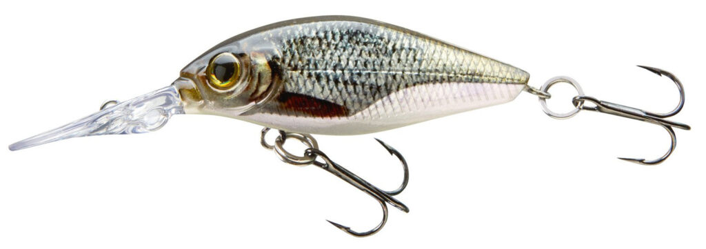 CORMORAN BELLY DIVER MINI F. 3.8cm 3g ROACH
