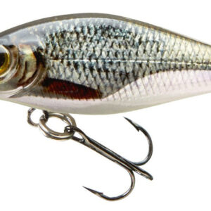 CORMORAN BELLY DIVER MINI F. 3,8cm 3g ROACH