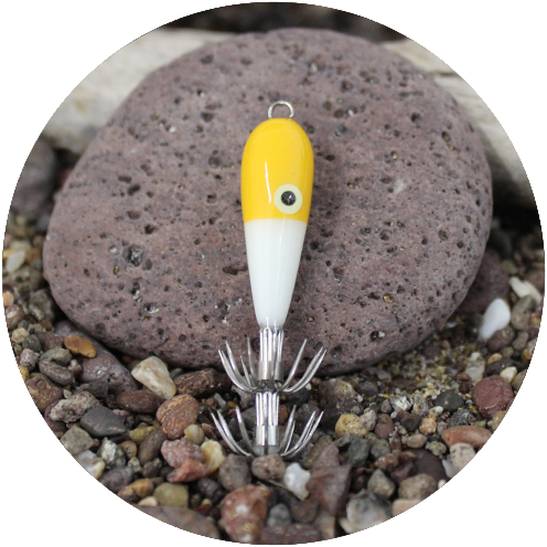 MATAKI BICOLOR