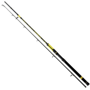BLACK CAT PERFECT PASSION BOAT SPIN 2,7m 60-200g