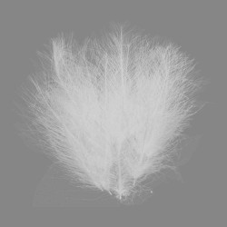 BAETIS CDC 1g #NATURAL WHITE