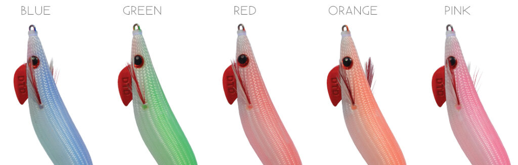 DTD COLOR OITA 3.0