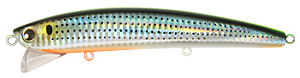 color08-1