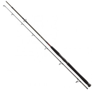 DAIWA EXCELER CAT FISH 2,4 m -135 g