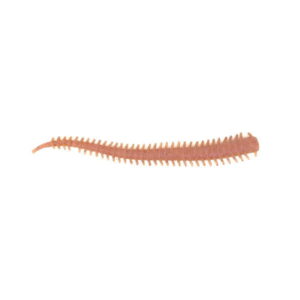 BERKLEY GULP SANDWORM SCENTED POWER ISOME 10cm EXTRA THICK #NATURAL
