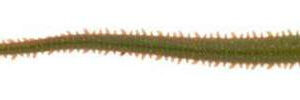 BERKLEY GULP SANDWORM 15CM 10PCS #CAMO