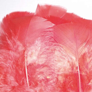 SUSTITUTO BAETIS IBIS