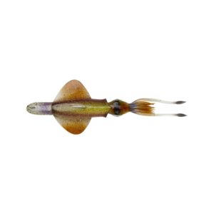 SAVAGE GEAR SWIM SQUID RTF 25cm 160g #HORNY SQUID